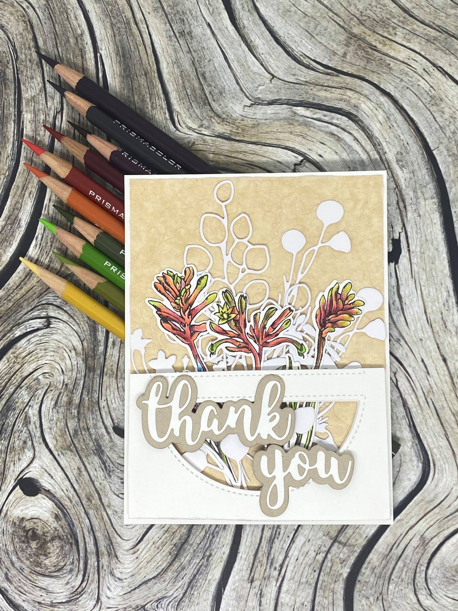 Kangaroo Paw Thank You Card - Amanda Herring