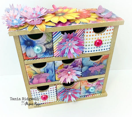 Rainbow Twirl Drawers - Tania Ridgwell