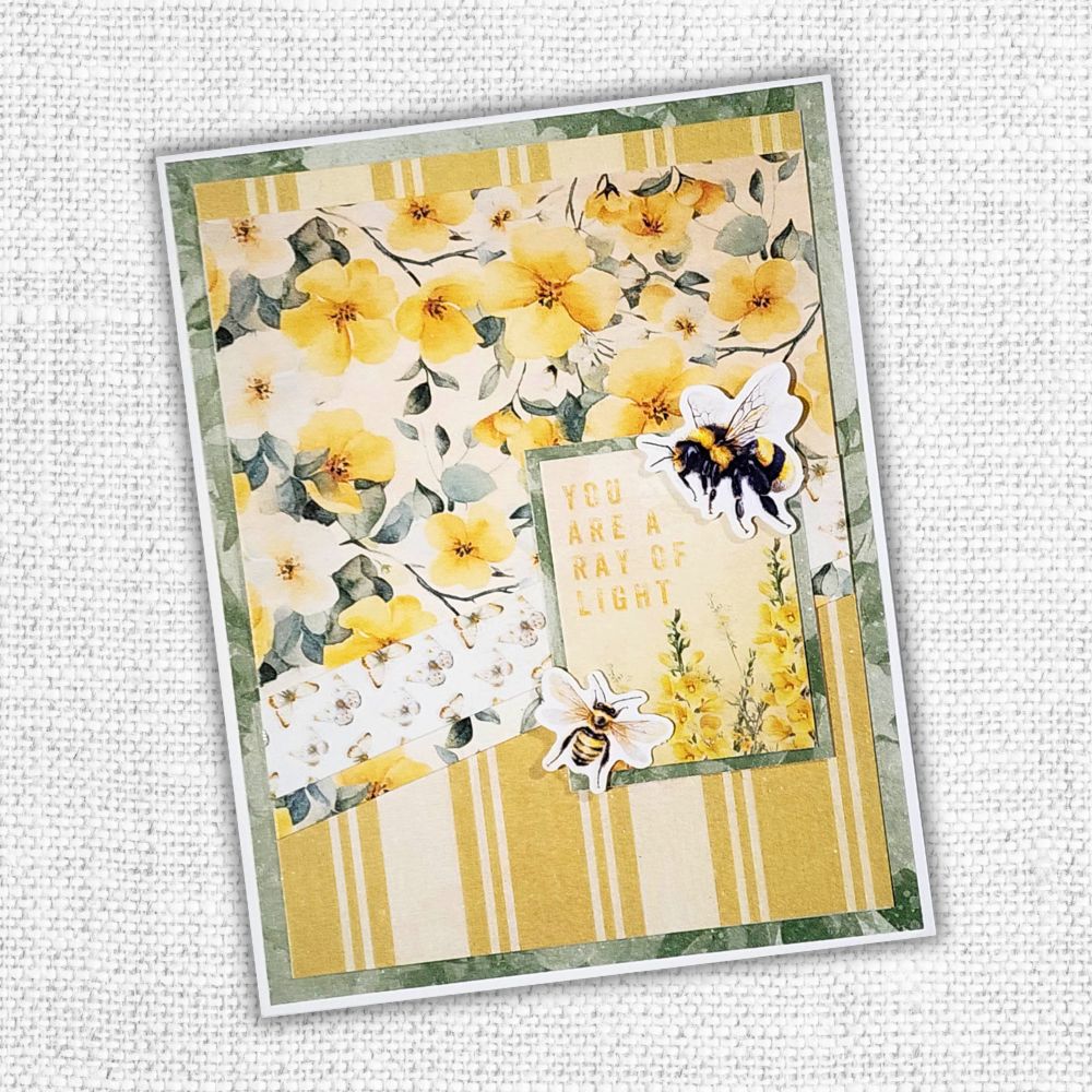 Bees & Butterflies 6x6 Paper Collection 33558