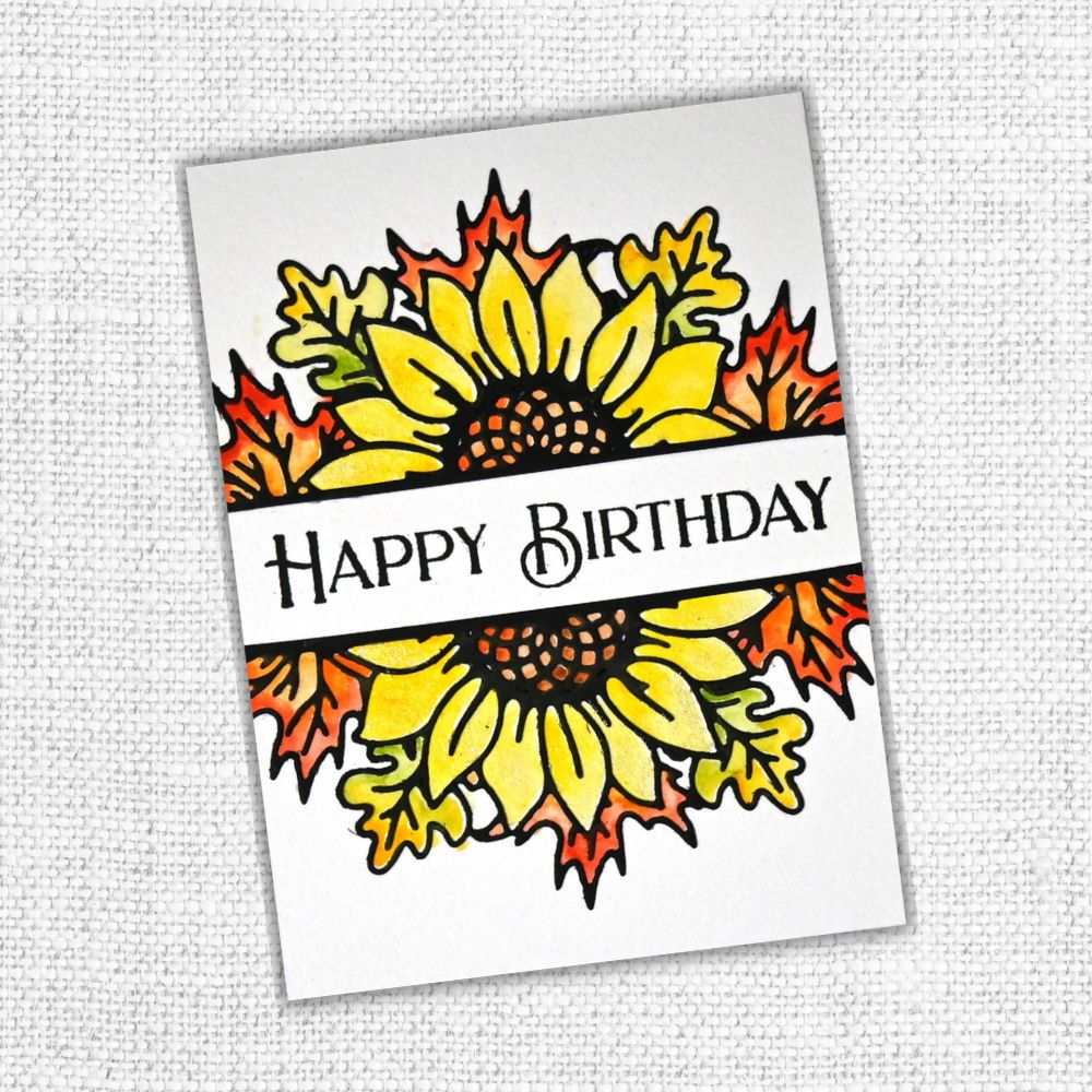 Happy Birthday Lovely Clear Stamp Set 24211 - Paper Rose Studio