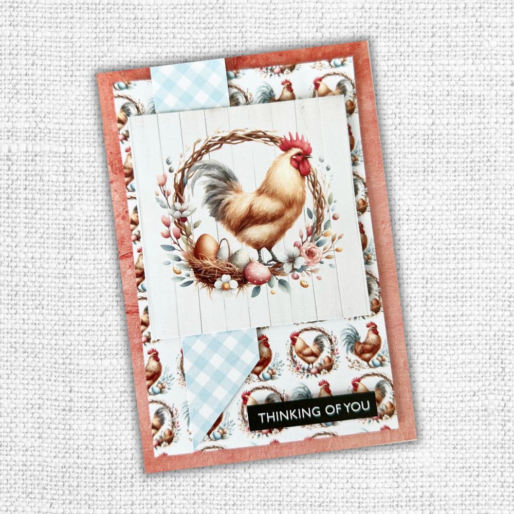 Farmhouse Friends Backgrounds 6x6 Paper Collection 32022 - Paper Rose Studio