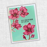 Lovely Florals Magnolia Die Set 18187 - Paper Rose Studio