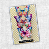 Rainbow Garden Patterns 6x6 Paper Collection 31554 - Paper Rose Studio