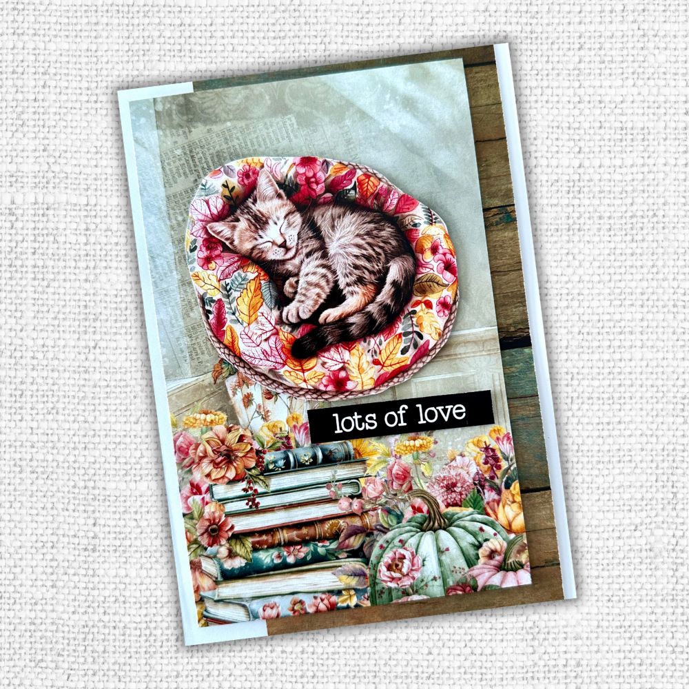 Cozy Fall Cut Aparts Paper Pack 32676 - Paper Rose Studio