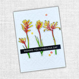 Kangaroo Paw 4x4" Clear Stamp Set 18617 - Paper Rose Studio