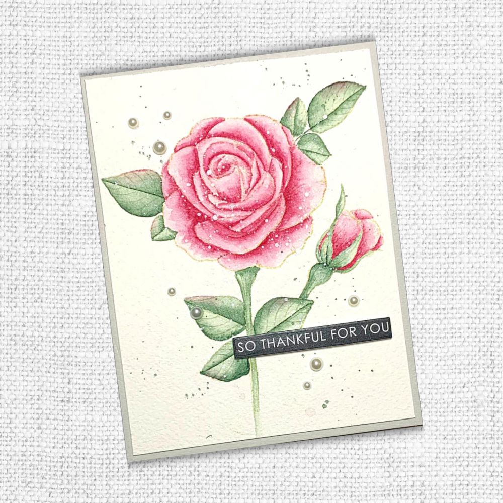 Sketchy Roses 4x6" Clear Stamp Set 18636 - Paper Rose Studio