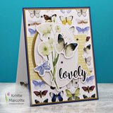 Butterfly Garden Die Cuts 25120 - Paper Rose Studio