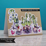 Violet Garden Die Cuts 28387 - Paper Rose Studio