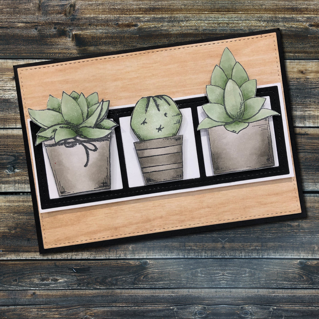 Cactus Quotes 4x4" Clear Stamp Set 17890 - Paper Rose Studio