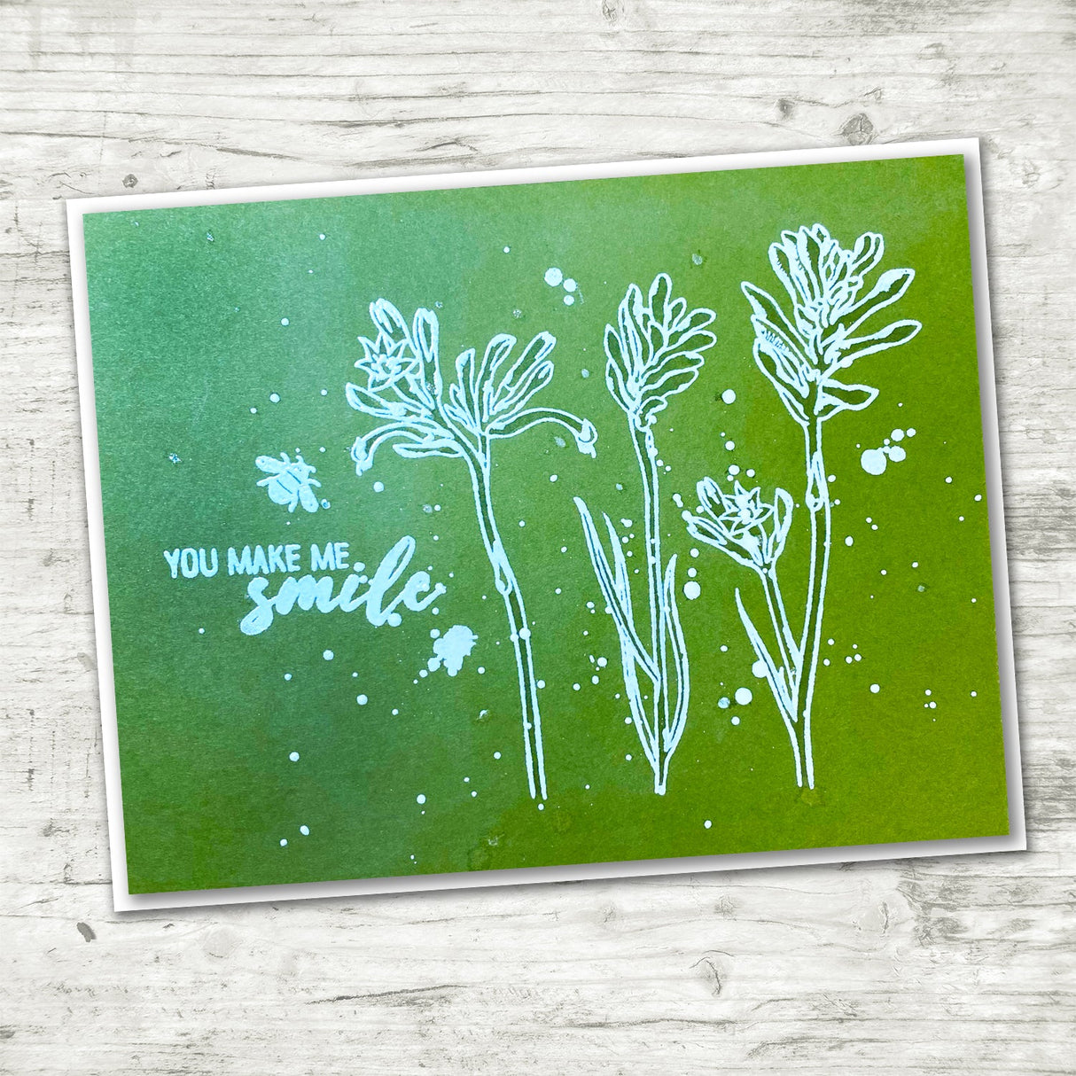 Kangaroo Paw 4x4" Clear Stamp Set 18617 - Paper Rose Studio