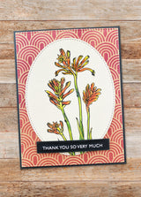 Kangaroo Paw 4x4" Clear Stamp Set 18617 - Paper Rose Studio