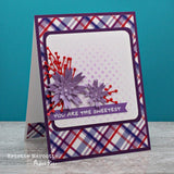 Sweet Plaids 6x6 Paper Collection 25042 - Paper Rose Studio