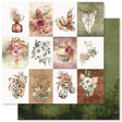 Beautiful Savannah - Flora B 12x12 Paper (12pc Bulk Pack) 27484 - Paper Rose Studio