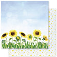 Bee Happy D 12x12 Paper (12pc Bulk Pack) 27718 - Paper Rose Studio