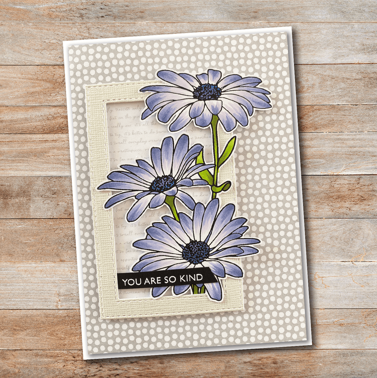 Daisy Bouquet 4x6" Clear Stamp Set 18493 - Paper Rose Studio