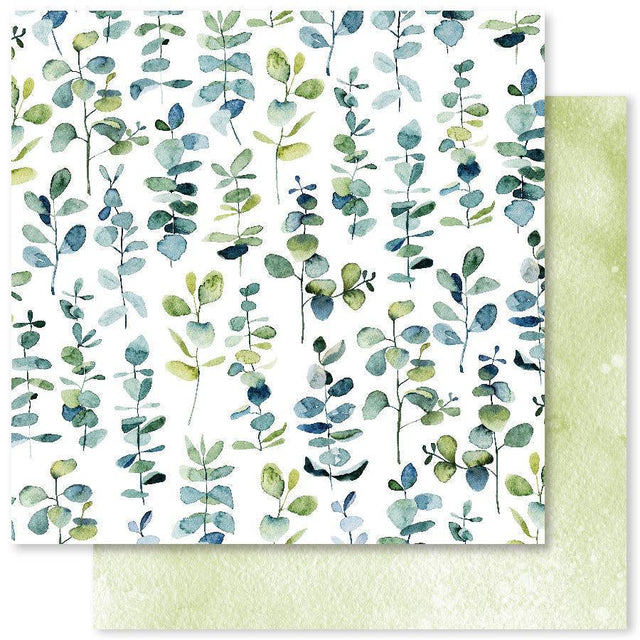 Eucalyptus Dance B 12x12 Paper (12pc Bulk Pack) 24547 - Paper Rose Studio