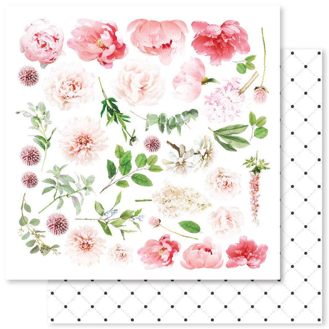 Floral Dance E 12x12 Paper (12pc Bulk Pack) 25879 - Paper Rose Studio