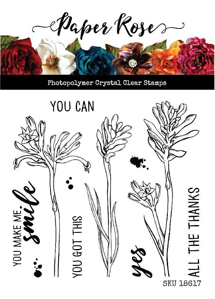 Kangaroo Paw 4x4" Clear Stamp Set 18617 - Paper Rose Studio