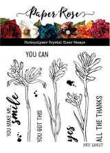 Kangaroo Paw 4x4" Clear Stamp Set 18617 - Paper Rose Studio