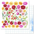 Peony Garden F 12x12 Paper (12pc Bulk Pack) 23290 - Paper Rose Studio