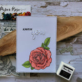 Sketchy Roses 4x6" Clear Stamp Set 18636 - Paper Rose Studio