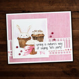 Spring Garden 12x12 Paper Collection 25288 - Paper Rose Studio