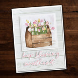 Spring Garden 12x12 Paper Collection 25288 - Paper Rose Studio