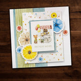 Sunny Days 6x6 Paper Collection 25168 - Paper Rose Studio