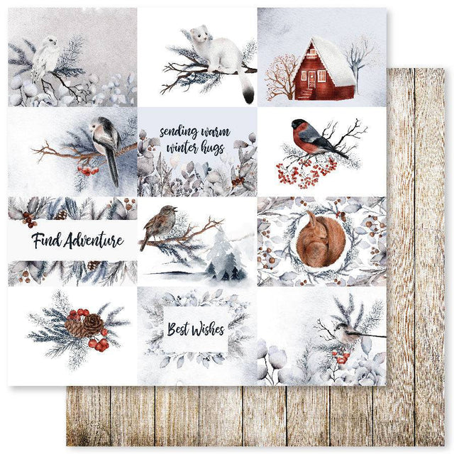 Winter Woods C 12x12 Paper (12pc Bulk Pack) 24352 - Paper Rose Studio